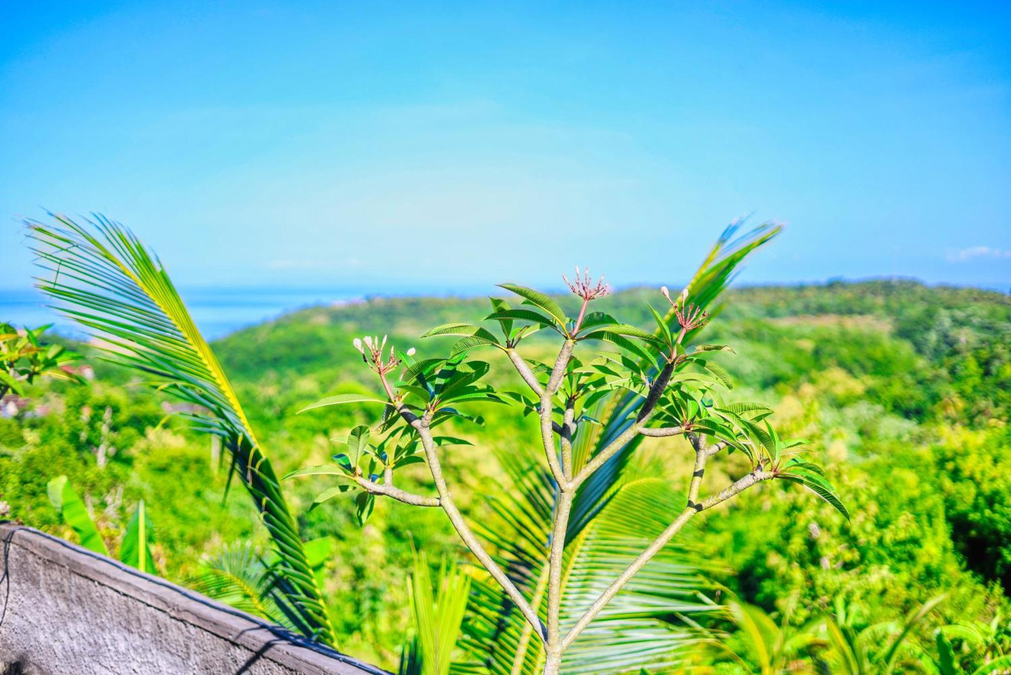 D Sebuluh Bungalow Batumadeg Экстерьер фото